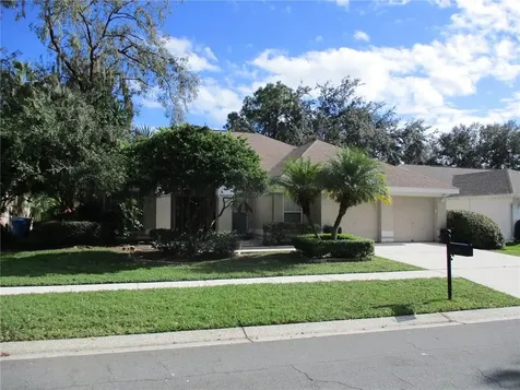 9203 Dayflower Drive Tampa FL 33647