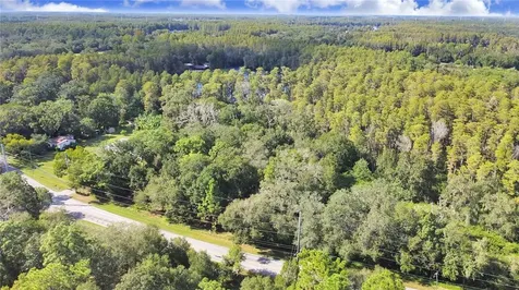17841 Simmons Road Lutz FL 33548