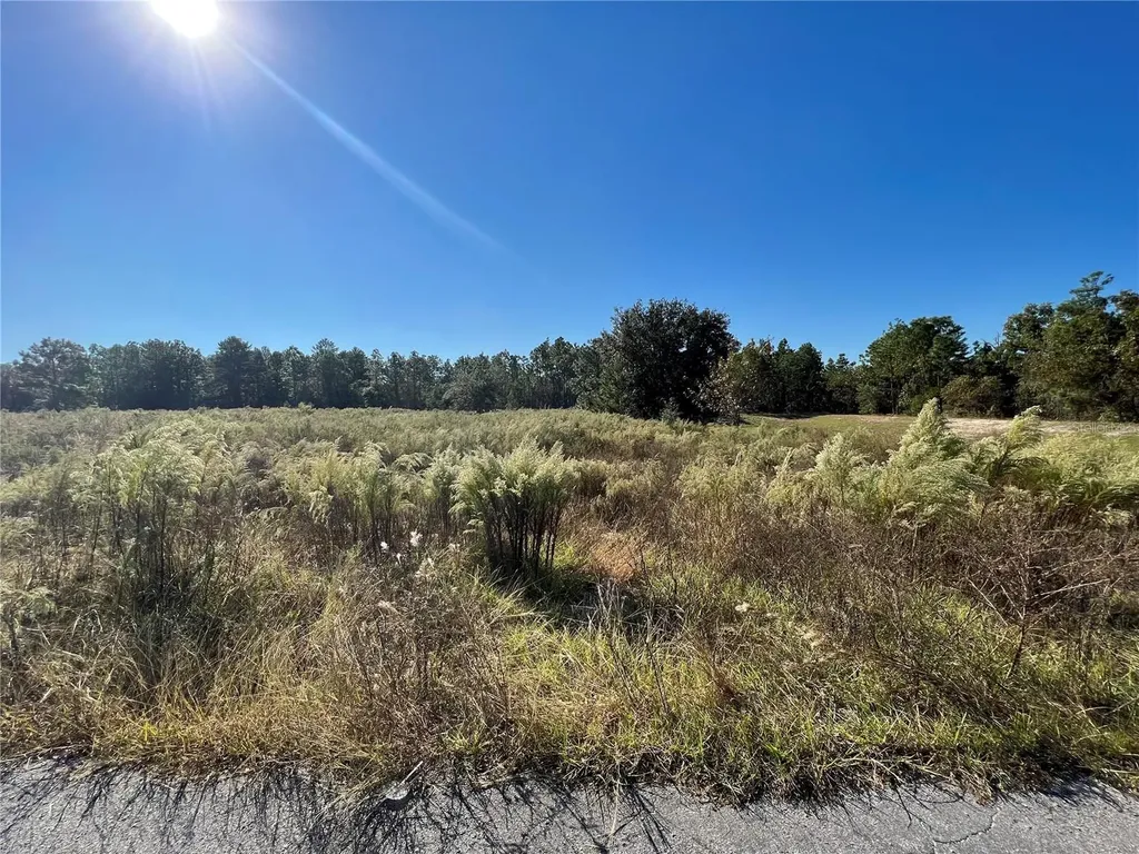 12160 Kadri Boulevard Spring Hill FL 34608
