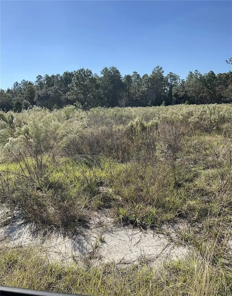 12160 Kadri Boulevard Spring Hill FL 34608