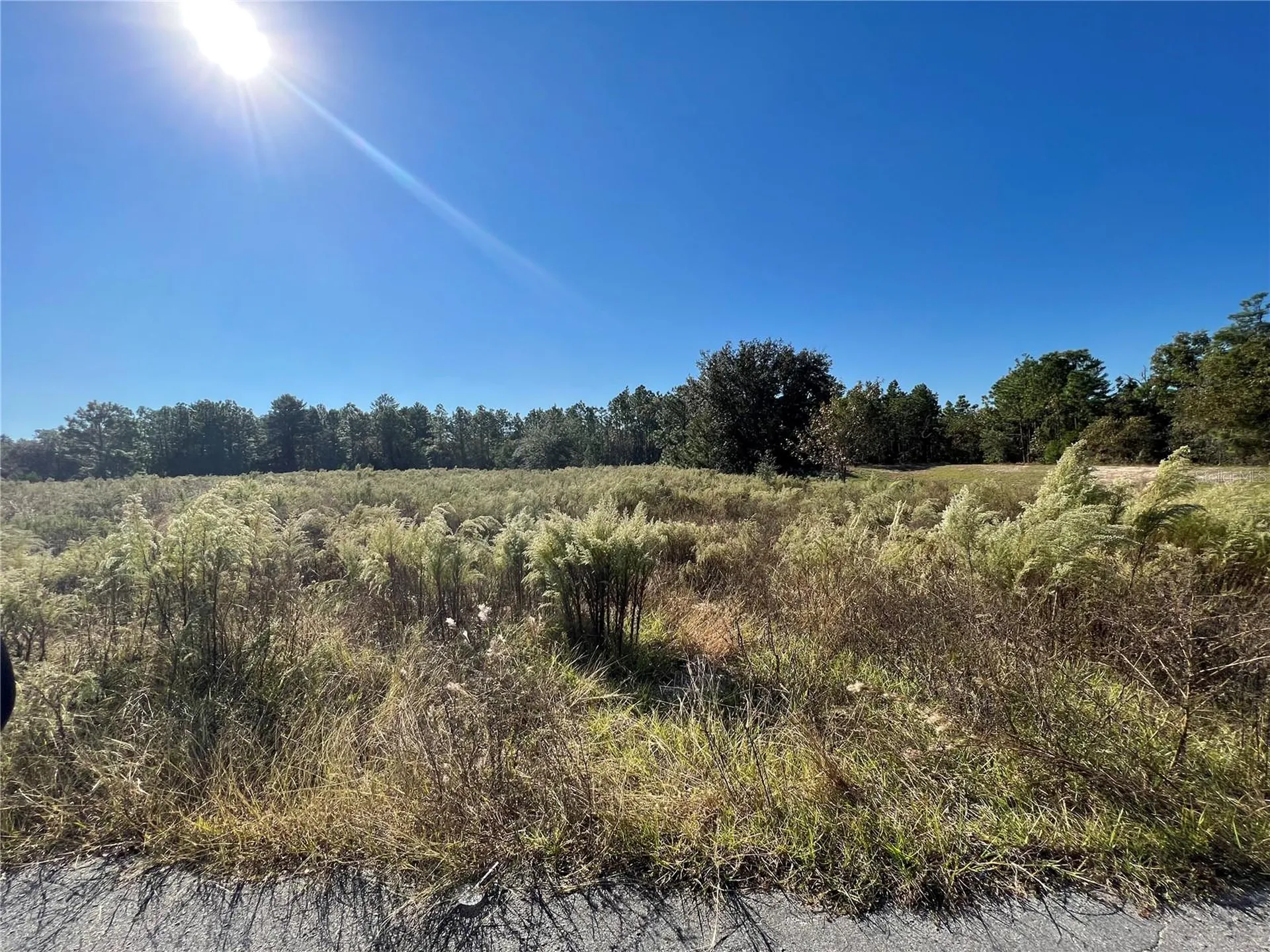 12160 Kadri Boulevard Spring Hill FL 34608