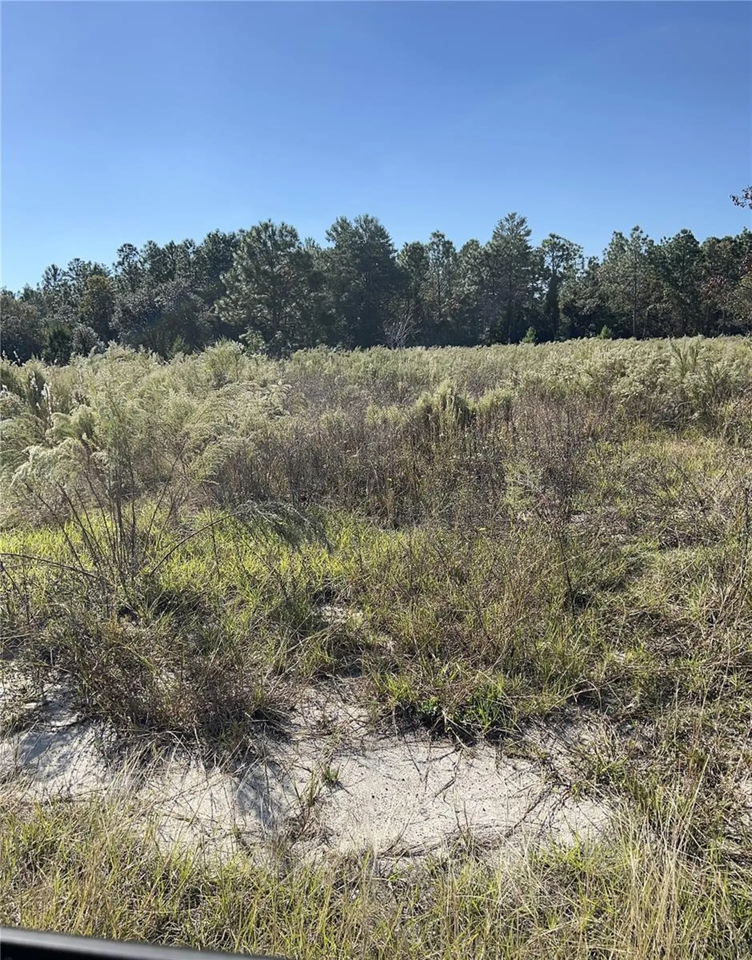 12160 Kadri Boulevard Spring Hill FL 34608