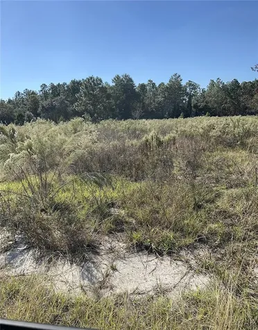 12160 Kadri Boulevard Spring Hill FL 34608