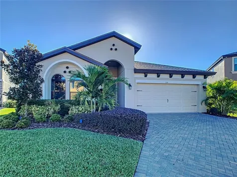 13114 Foxtail Fern Drive Riverview FL 33579
