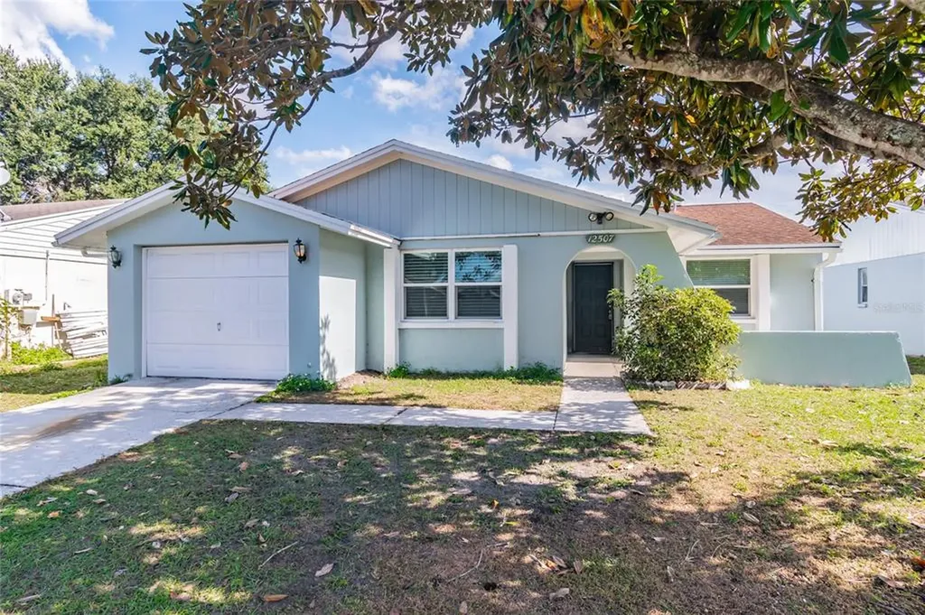 12507 Mondragon Drive Tampa FL 33625