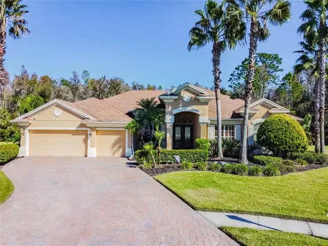 27345 Roseling Court Wesley Chapel FL 33544