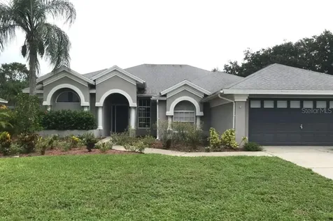 10220 Tarragon Drive Riverview FL 33569