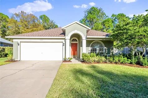 12521 Deerberry Lane Tampa FL 33626