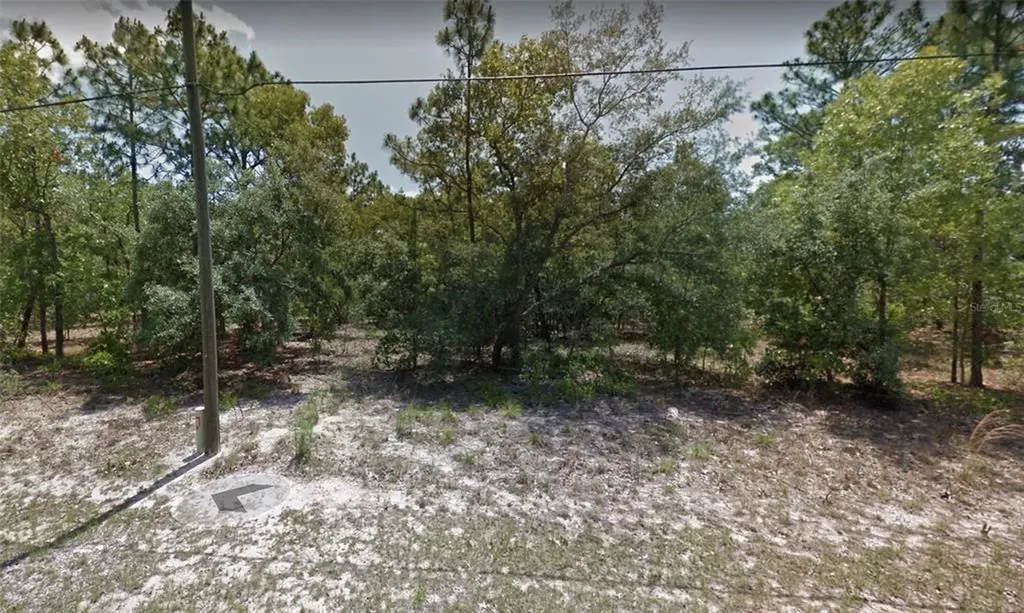7611 N Oasis Point Citrus Springs FL 34433