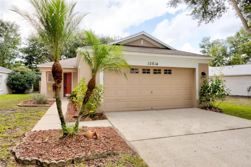 10514 Blackmore Drive Tampa FL 33647