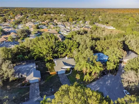 23131 Geneva Road Land O Lakes FL 34639