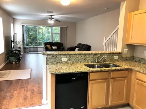 2716 Conch Hollow Drive Brandon FL 33511