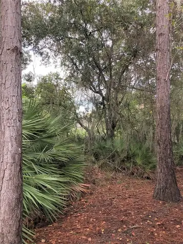 2716 Conch Hollow Drive Brandon FL 33511