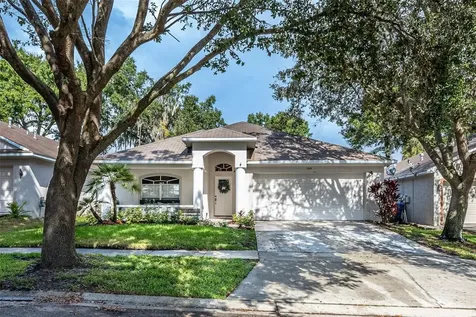 1416 Trail Boss Lane Brandon FL 33511