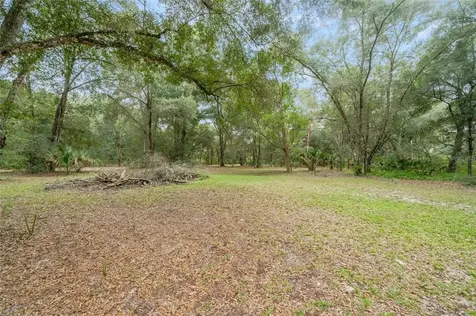 511 Shell Harbor Road Pierson FL 32180