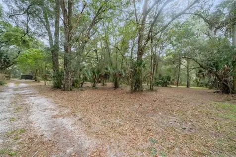 511 Shell Harbor Road Pierson FL 32180