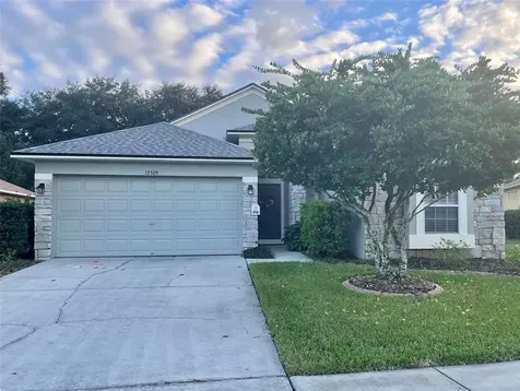 12505 Deerberry Lane Tampa FL 33626