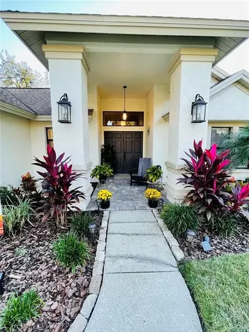 6207 Chauncy Street Tampa FL 33647