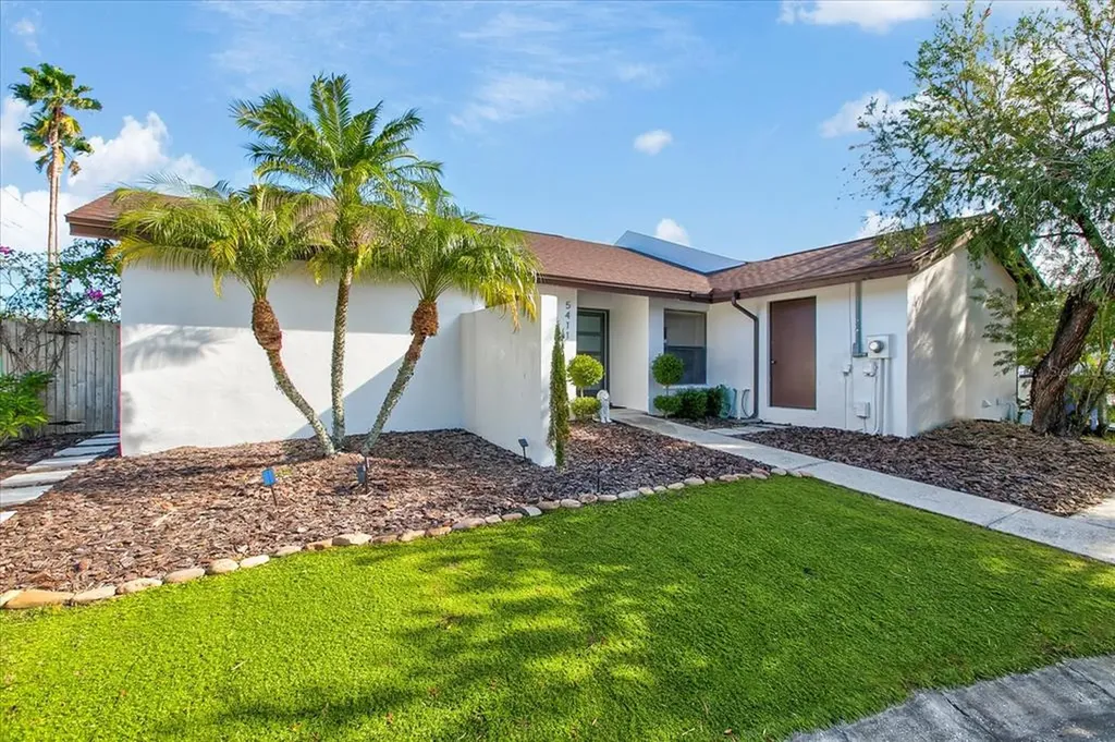 5411 Hopedale Drive Tampa FL 33624