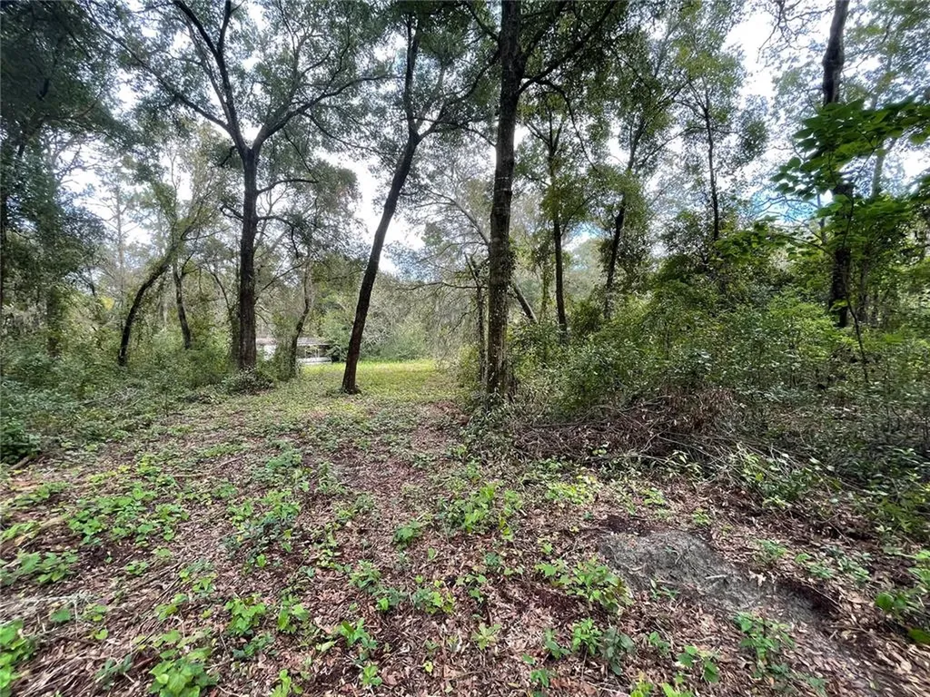11100 SE 128th Place Road Ocklawaha FL 32179