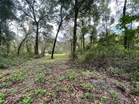 11100 SE 128th Place Road Ocklawaha FL 32179
