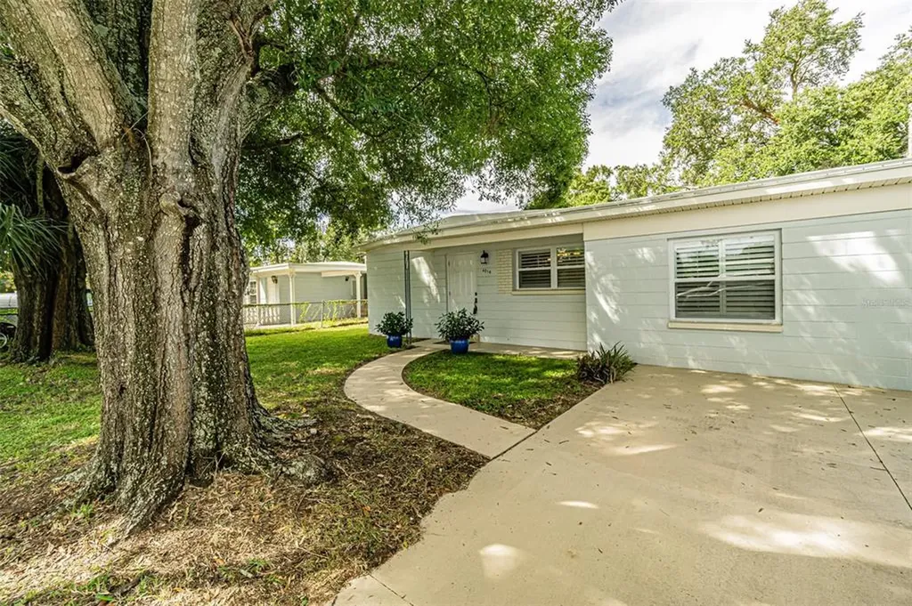 6016 N Clark Avenue Tampa FL 33614