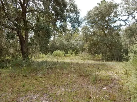 11950 SE 57th Street Morriston FL 32668