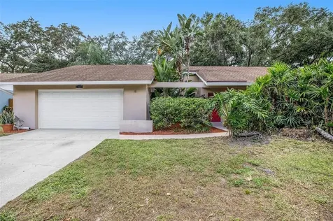 243 Arbor Drive E Palm Harbor FL 34683