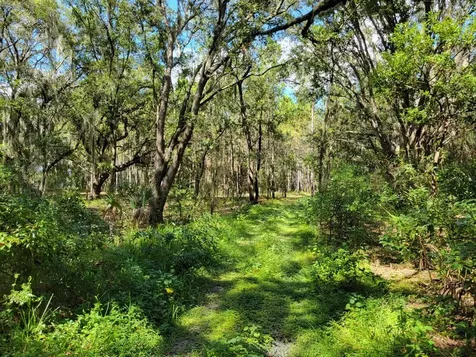 15410 Caruthers Road Dover FL 33527