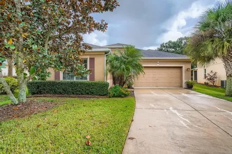 17475 New Cross Circle Lithia FL 33547