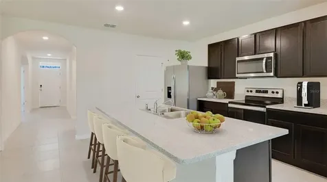 34021 Sorrel Mint Drive Wesley Chapel FL 33543