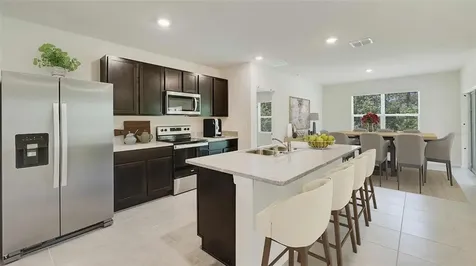 34021 Sorrel Mint Drive Wesley Chapel FL 33543