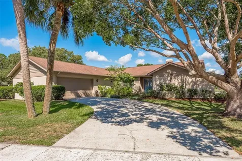 460 Holly Hill Road Oldsmar FL 34677