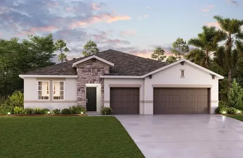 11729 Tetrafin Drive Riverview FL 33579