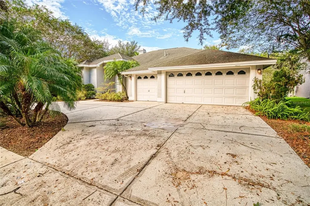 19106 Mandarin Grove Place Tampa FL 33647
