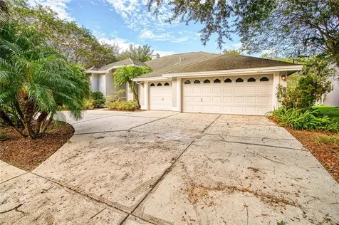 19106 Mandarin Grove Place Tampa FL 33647