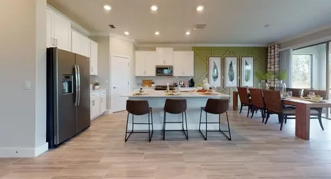 9791 Wild Begonia Loop Land O Lakes FL 34637