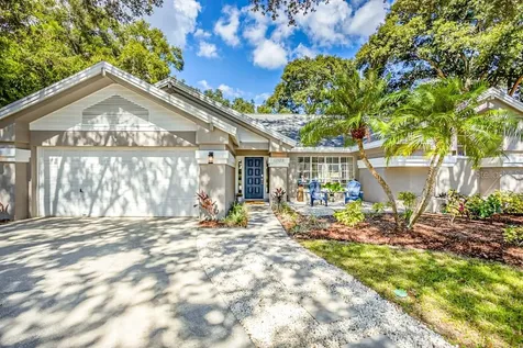 1523 Sand Hollow Court Palm Harbor FL 34683