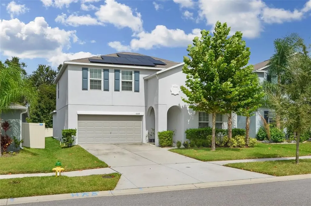 10228 Strawberry Tetra Drive Riverview FL 33578