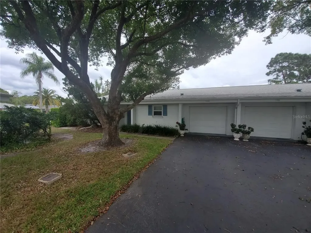 1720 Palmer Court Palm Harbor FL 34685