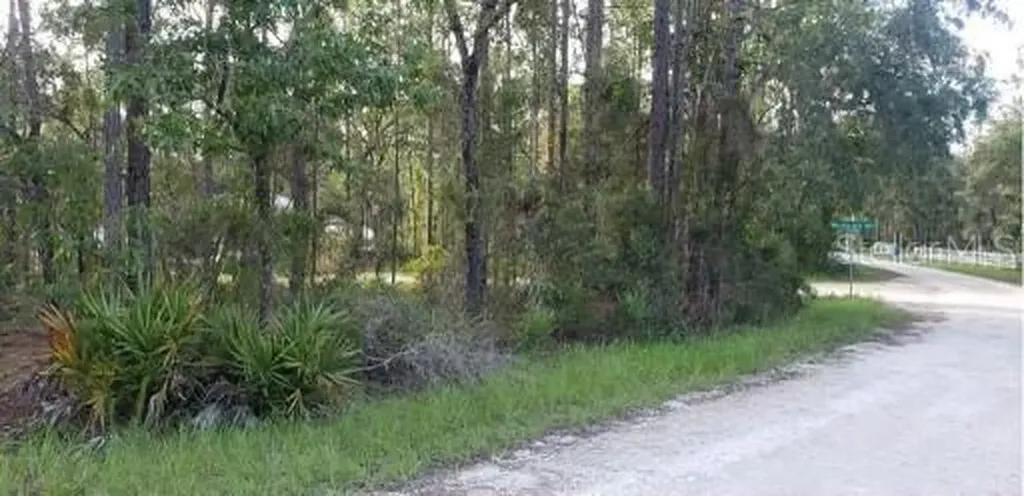 11184 Woodpecker Avenue Weeki Wachee FL 34614