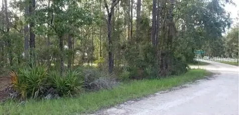 11184 Woodpecker Avenue Weeki Wachee FL 34614
