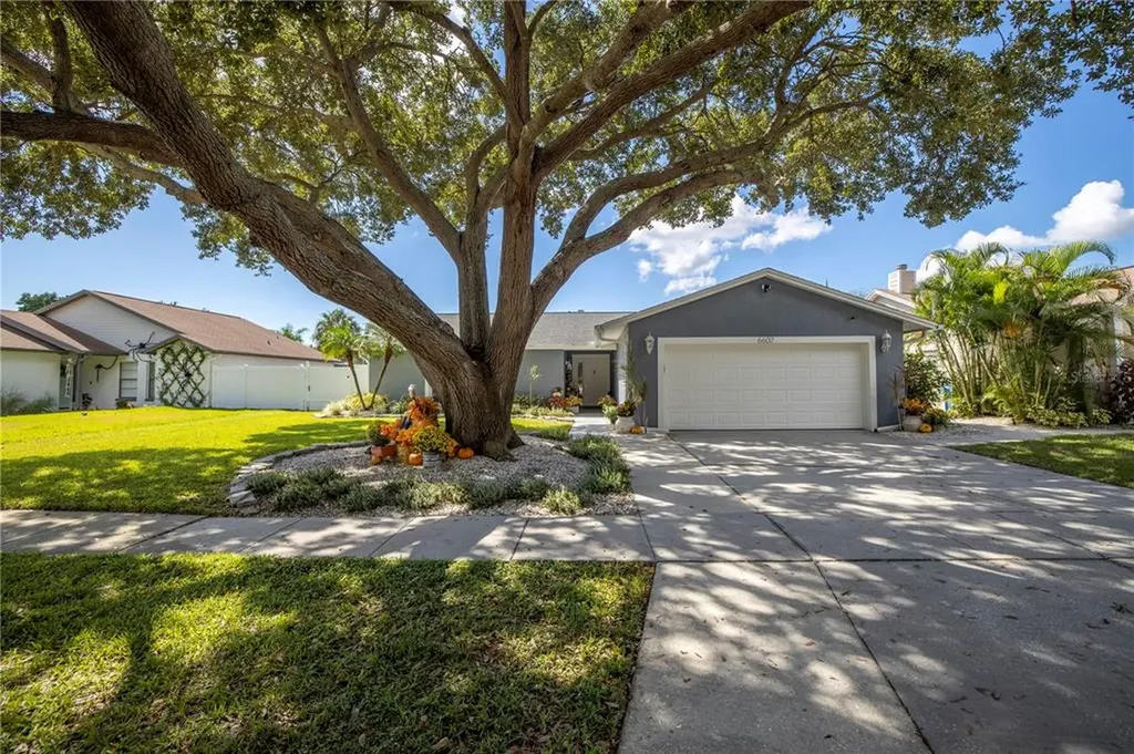 6602 Seafairer Drive Tampa FL 33615
