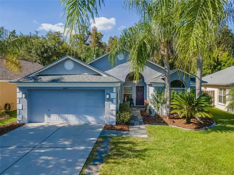 30847 Wooley Court Wesley Chapel FL 33543