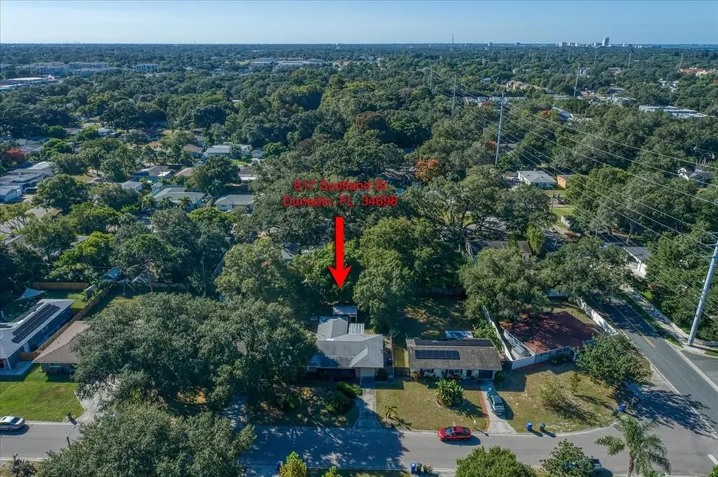 817 Scotland Street Dunedin FL 34698