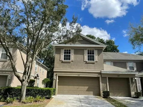 4209 Key Thatch Drive Tampa FL 33610