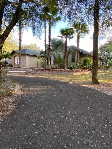 16336 SE 65th Street Road Ocklawaha FL 32179