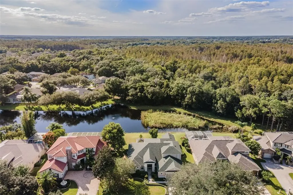 2123 Climbing Ivy Drive Tampa FL 33618