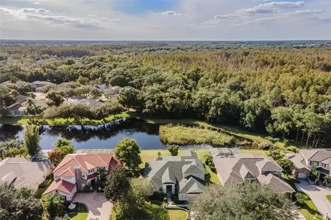 2123 Climbing Ivy Drive Tampa FL 33618