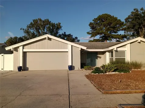 3909 Orchard Hill Circle Palm Harbor FL 34684
